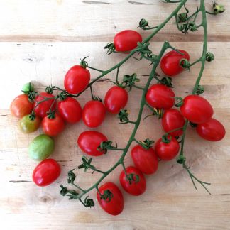 FRU Tomate Cherry Chucha